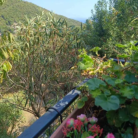 Aaa 別荘 Mošćenička Draga