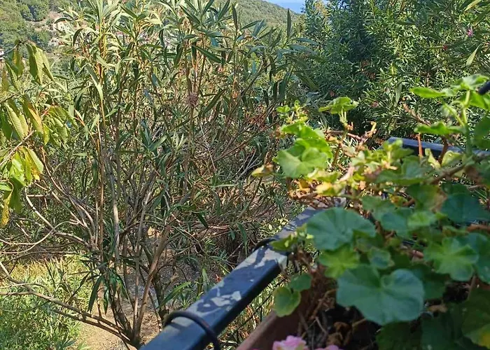 Aaa Holiday home Moscenicka Draga